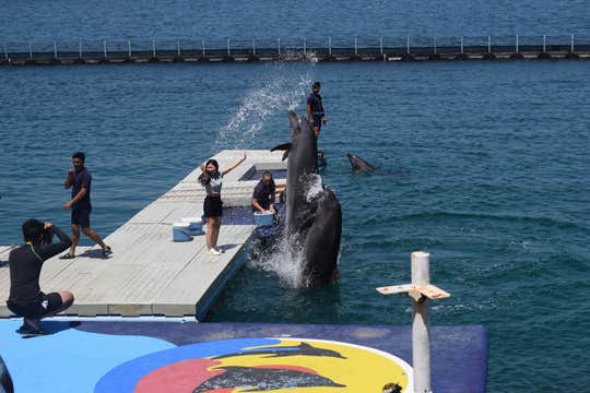 Day Pass to Ocean Adventure Marine Park in Subic Bay