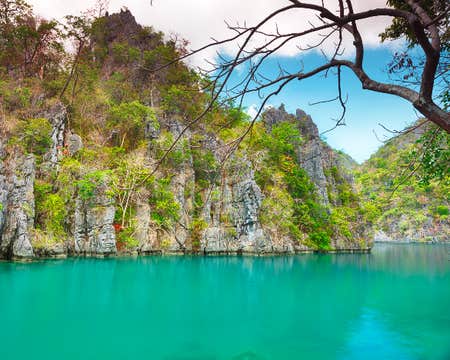 Exciting 8-Day Palawan & Cebu Islands Snorkeling & Whale Shark Tour Package from Manila City