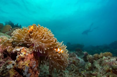 Minor Basilica and National Shrine of Saint Lorenzo Ruiz in Binondo, Manila