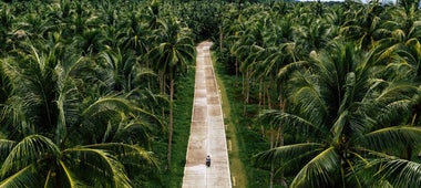 Coconut Road