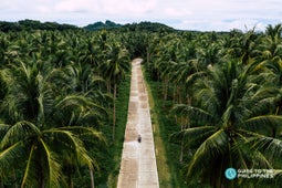 Coconut Road