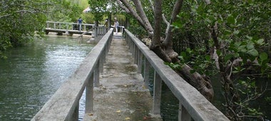 Talabong Mangrove Park