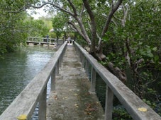 Talabong Mangrove Park