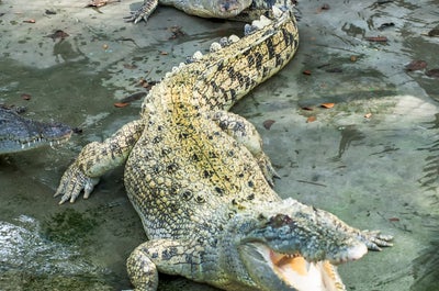 Thrilling 8-Day Mindanao Island Region Adventure & Nature Tour Package from Manila City - day 3