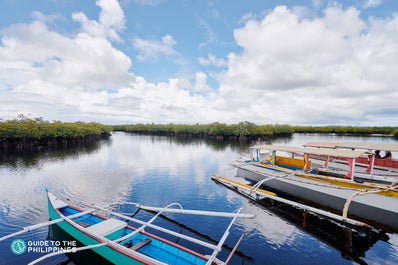 Bohol Bee Farm