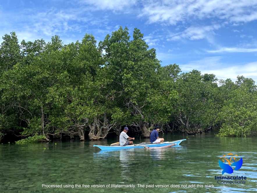 Villahermosa Mangrove Forest Villahermosa Mangrove Forest