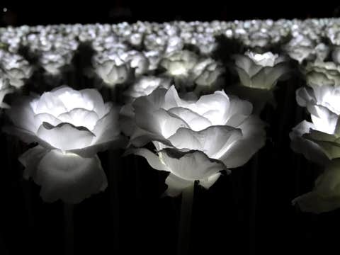 Cebu City Top Attractions Evening Tour with Transfers