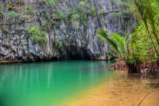 Private Puerto Princesa City Van Rental with Driver