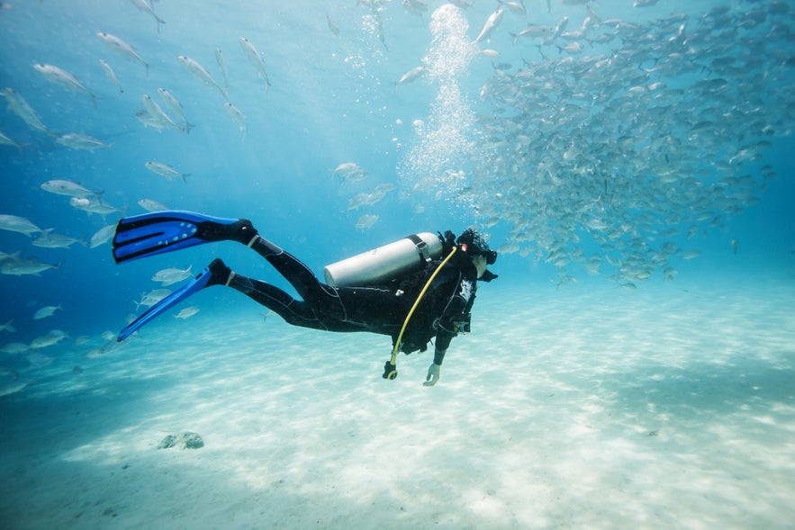 Diver swimming past fish in Dimakya Island, Coron Diver swimming past fish in Dimakya Island, Coron
