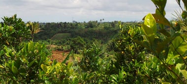 ECHOfarms