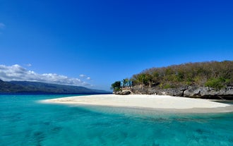 Relax on Sumilon Island’s soft white sand and take in the view of its crystal-clear waters during this tour.