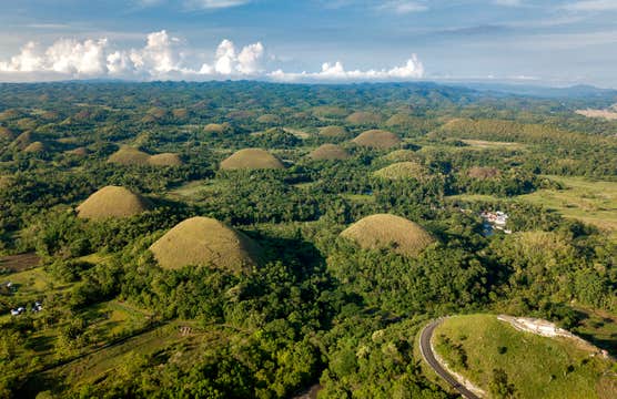 Tour to Bohol Island's Chocolate Hills & Tarsier Monkey Sanctuary with Transfers
