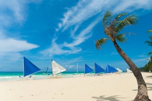 Paraws along Boracay's White Beach