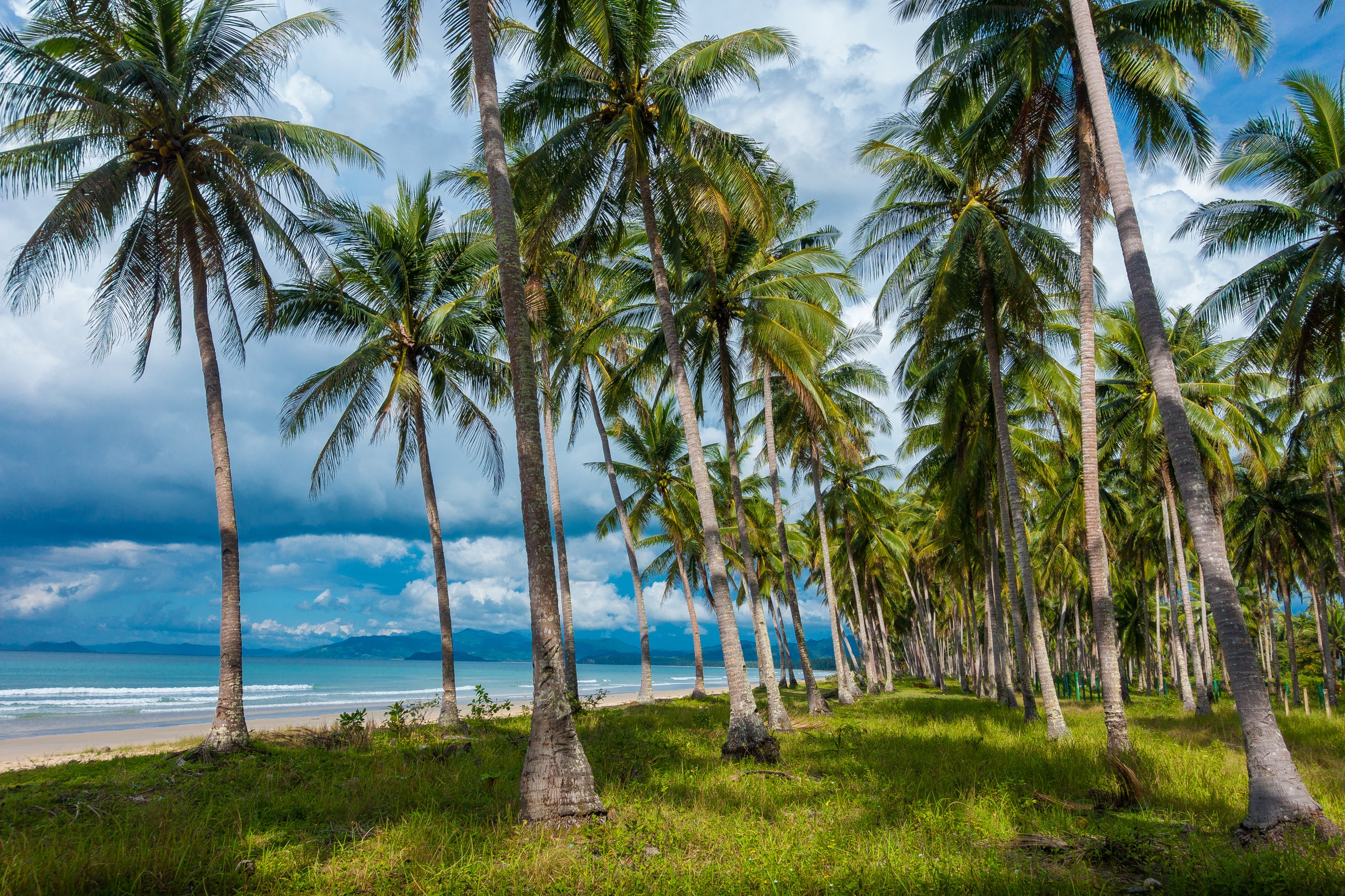 San Vicente, Palawan