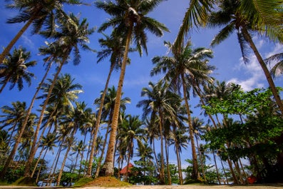 Suyog Life Siargao Double Room