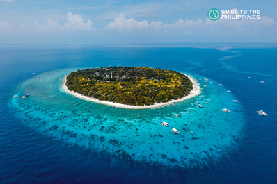 Swim at Balicasag Island in Bohol