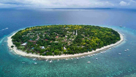 Two sea turtles which can be seen while snorkelling in the waters of Panglao Bohol