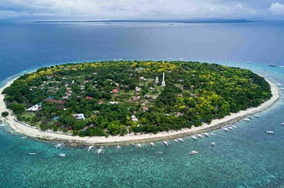 Two sea turtles which can be seen while snorkelling in the waters of Panglao Bohol