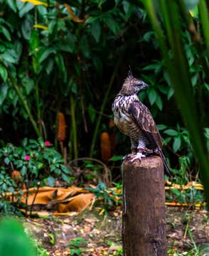 Exciting 4-Day Davao Region Tour Package at Dusit Hotels from Manila City