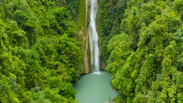 Private Tour to Cebu Island's Sardine Run in Moalboal Town with Snorkeling, Waterfalls and Beach