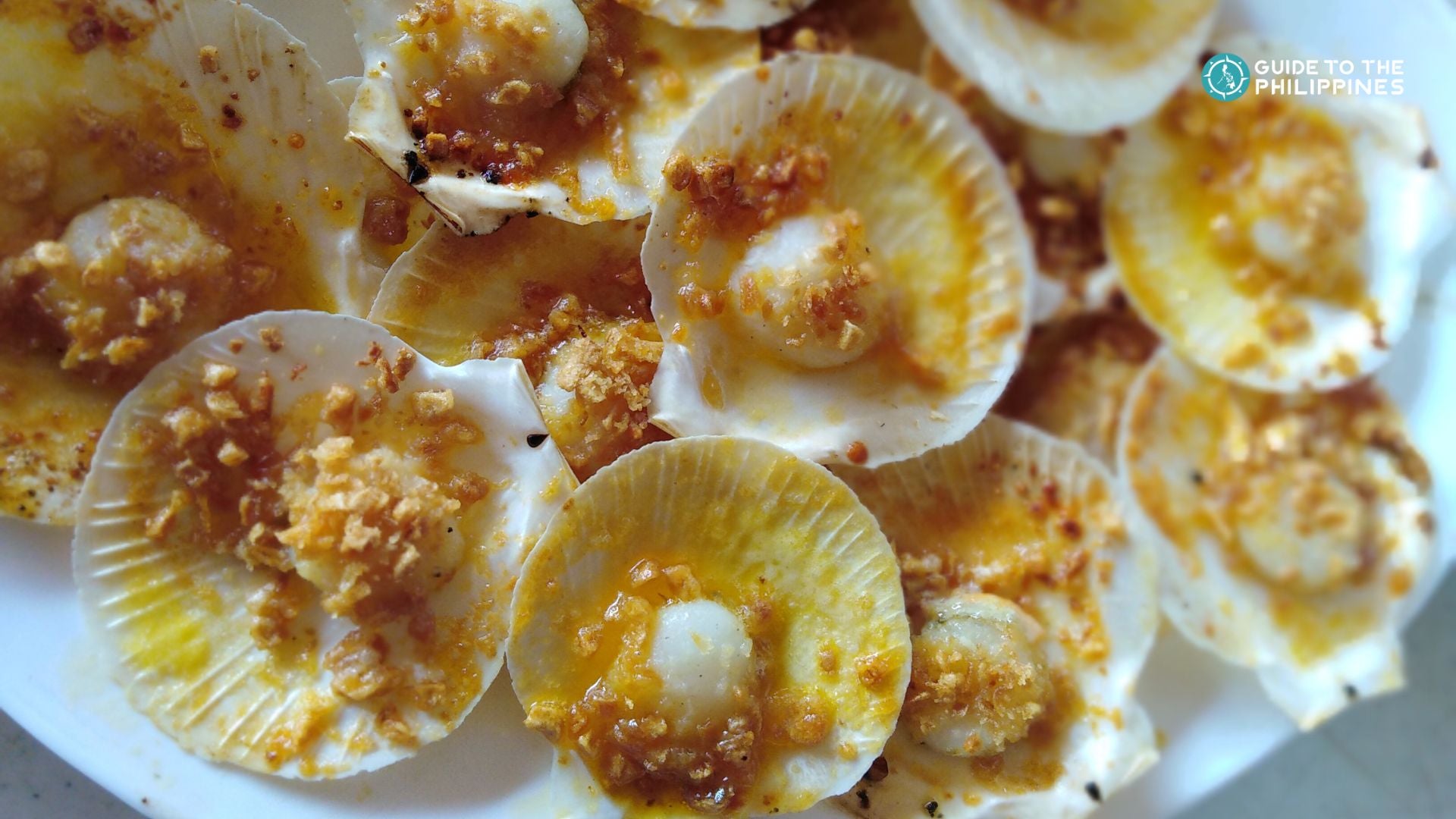Scallops in Roxas, the Seafood Capital of the Philippines
