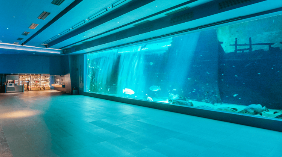 Dive into an unforgettable experience with Anjo World Theme Park and Cebu Ocean Park tickets.