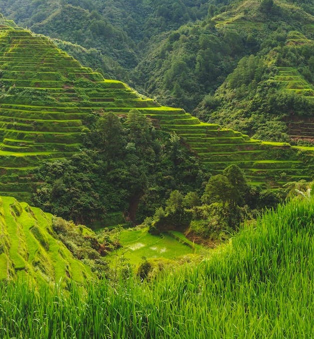 Banaue-Sagada-Buscalan Tour Packages