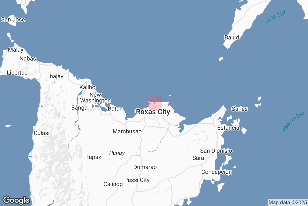 Roxas City Airport