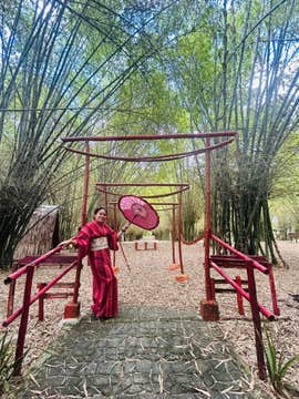 Private Tour of Cebu Island Province's Sugar Cane Fields & Bamboo Forest with Transfers