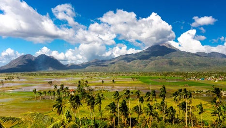 Amazing 4-Day Sorsogon Province Tour Package with Whale Shark Watching from Manila City - day 4