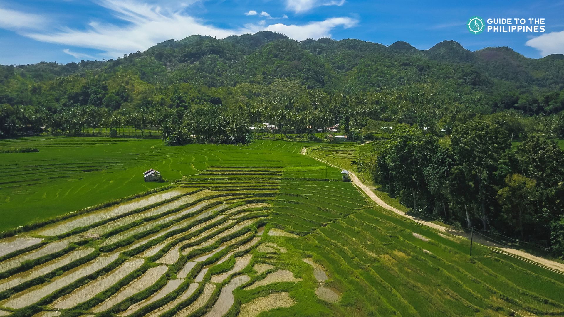 Cadapdapan Rice Terraces in Bohol Island