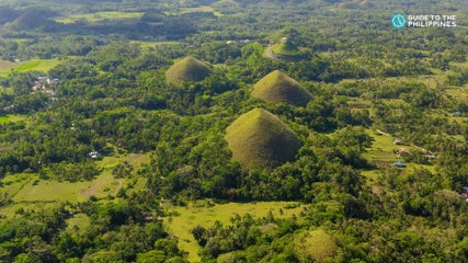 Must-Try Tours &amp; Activities in Bohol Island
