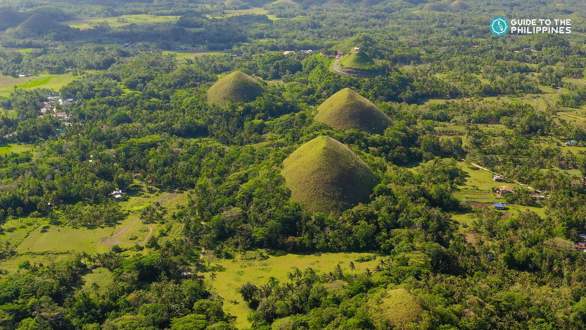 Aerial view of the Chocolate Hills in Bohol Island