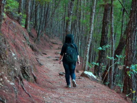 Relaxing 4-Day Baguio City Tour Package with Hotel & Daily Breakfast