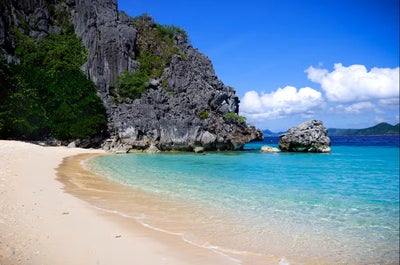 Giraffe inside Calauit Safari