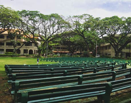 Exciting 4-Day Dumaguete City with Apo Island Tour Package from Manila City