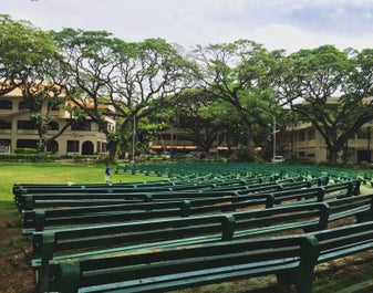 Exciting 4-Day Dumaguete City with Apo Island Tour Package from Manila City - day 2