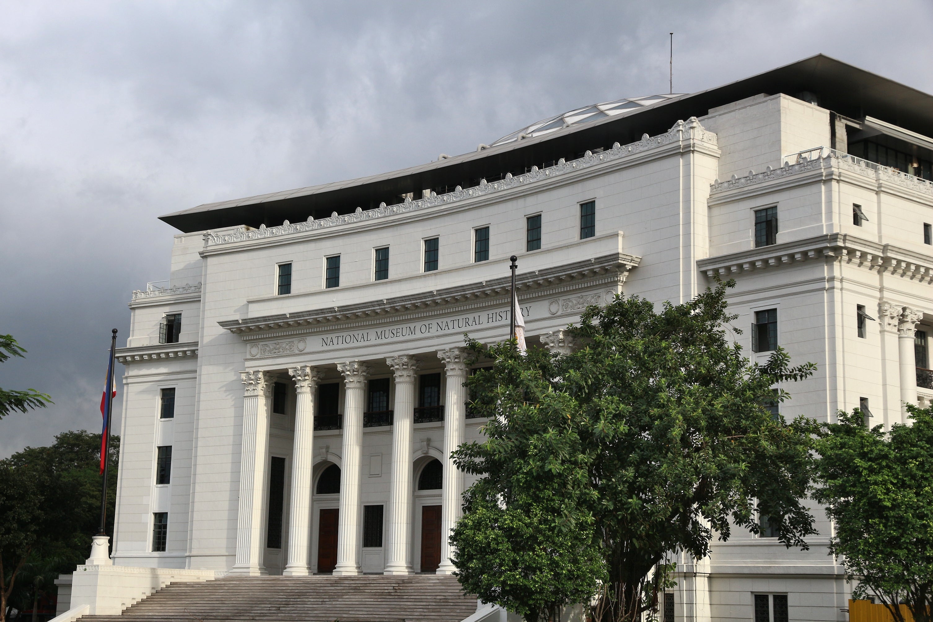 The grand entrance of the National Museum of Natural History is one of the highlights of this Manila City museum tour
