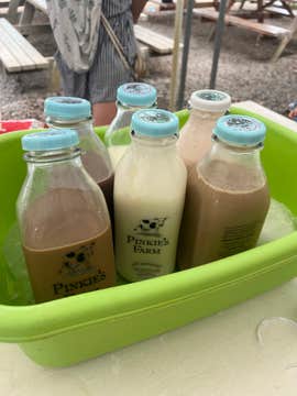 Pinkie's Farm Adventure Tour in Batangas Province with Picnic Lunch