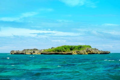 Crocodile Island