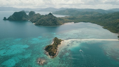 Snake Island