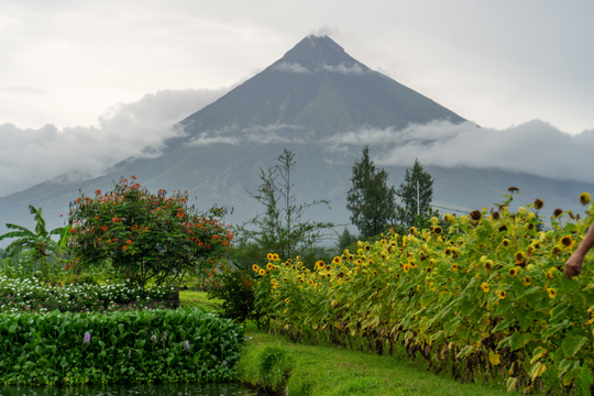 Private Sightseeing Tour of Mayon Volcano in Albay Province from Legazpi City with Lunch