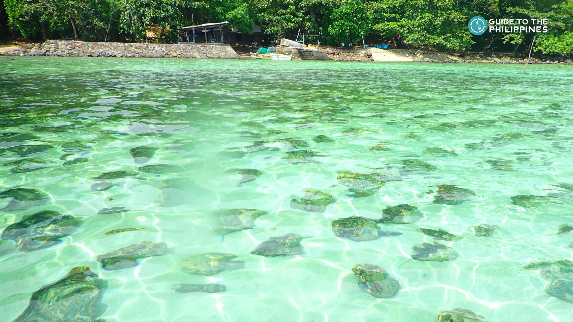 Giant Clam Sanctuary in Camiguin Island