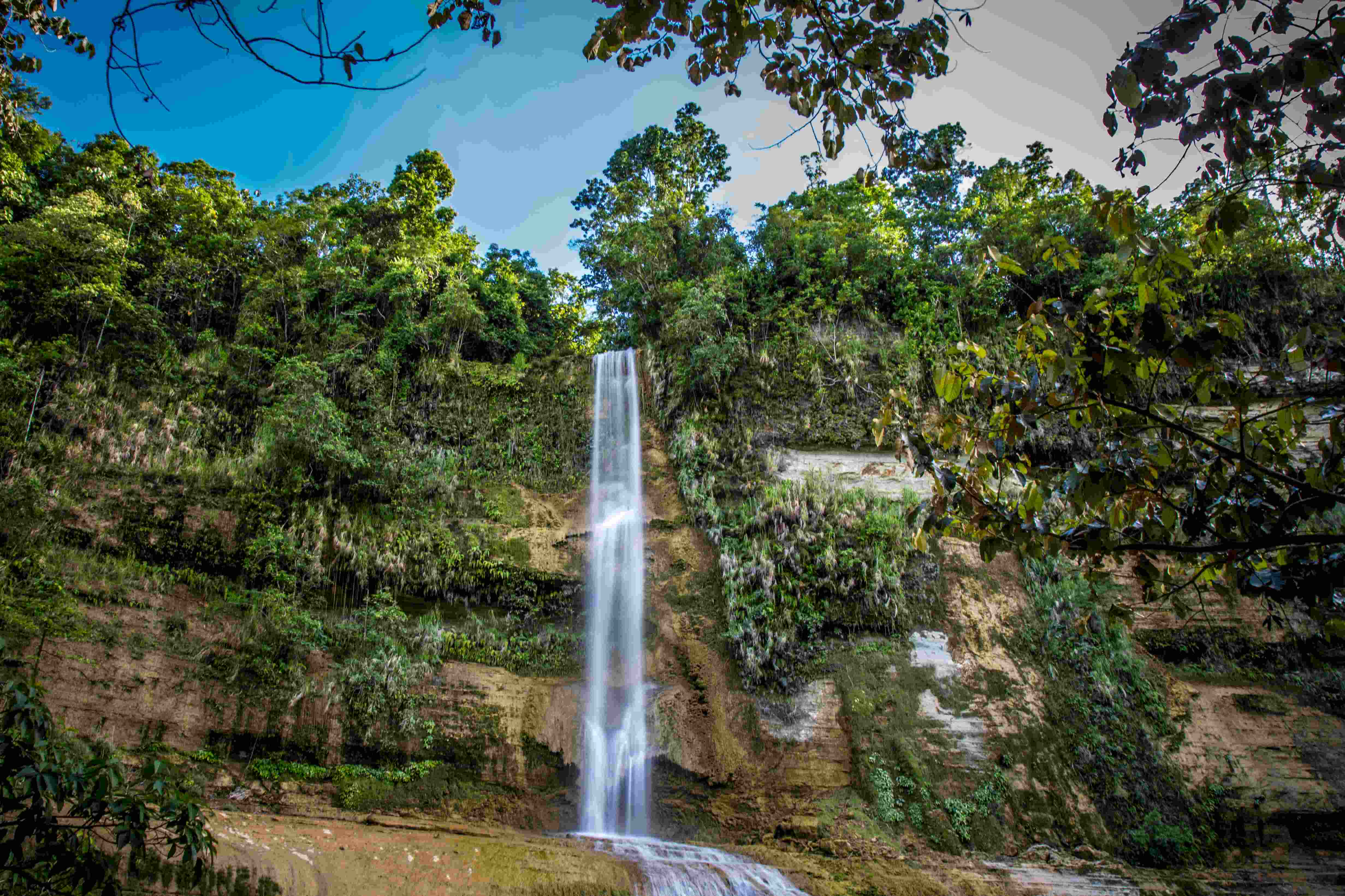 The famous Chocolate Hills in Bohol
