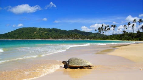 Incredible 7-Day Palawan Island Tour Package to Best Beaches in Towns of Coron & El Nido - day 4