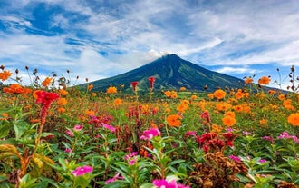 Towering beauty and rugged terrain come together in perfect balance during this ATV ride in Mayon Volcano.