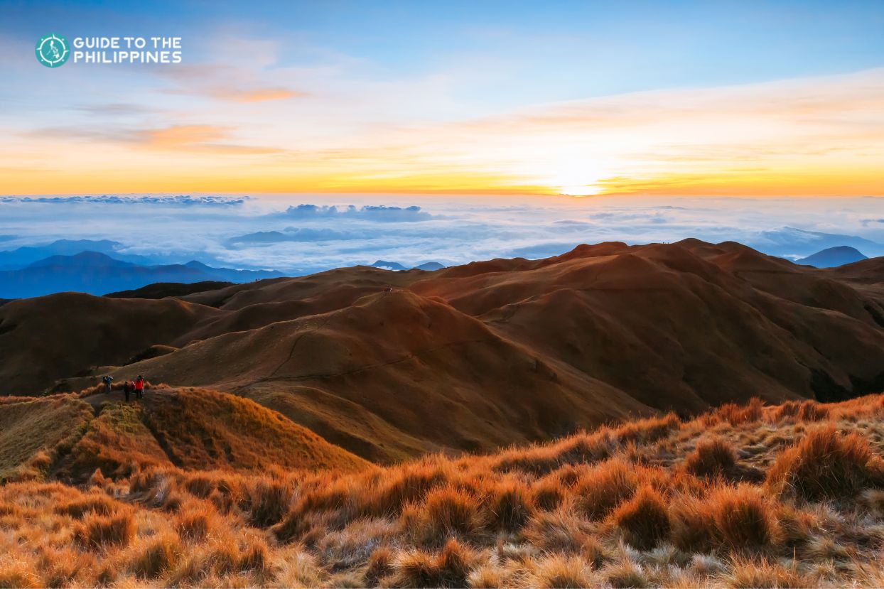 Mt. Pulag view