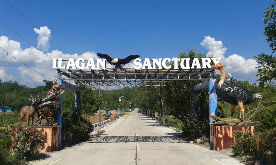 Ilagan Sanctuary in Isabela Province Ilagan Sanctuary in Isabela Province