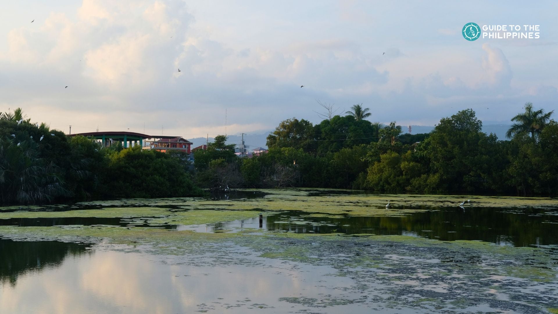 Bird sanctuary in Zamboanga City