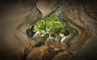 Step into the Cavinti Underground River and Cave during this tour and marvel at its natural rock formations.